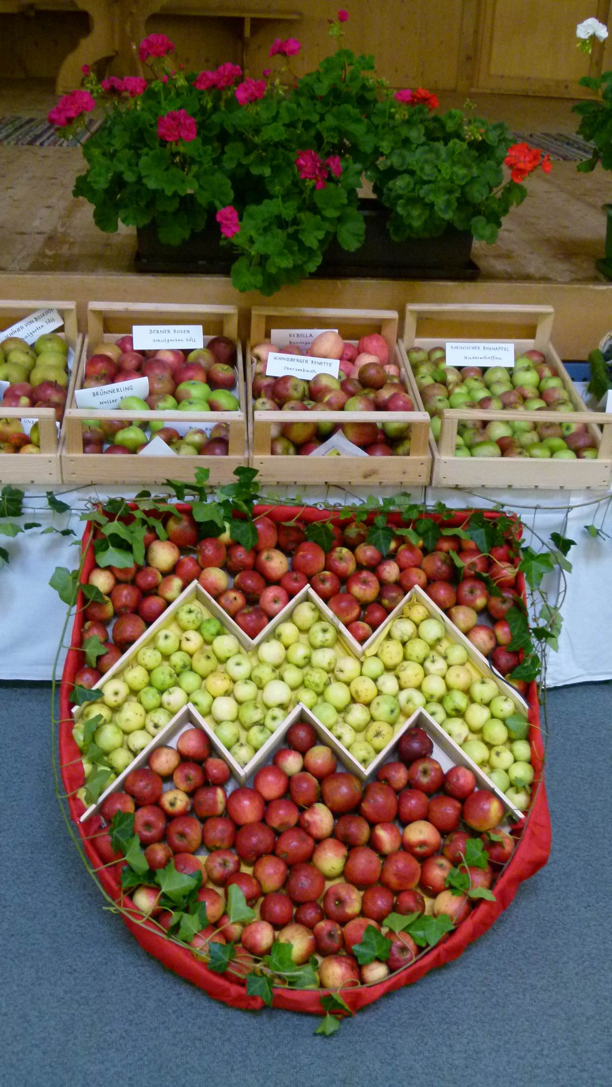 Ausstellung Obst- und Gartenbauverein
